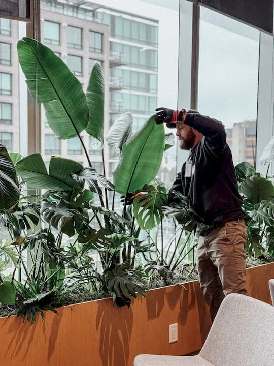 gardener