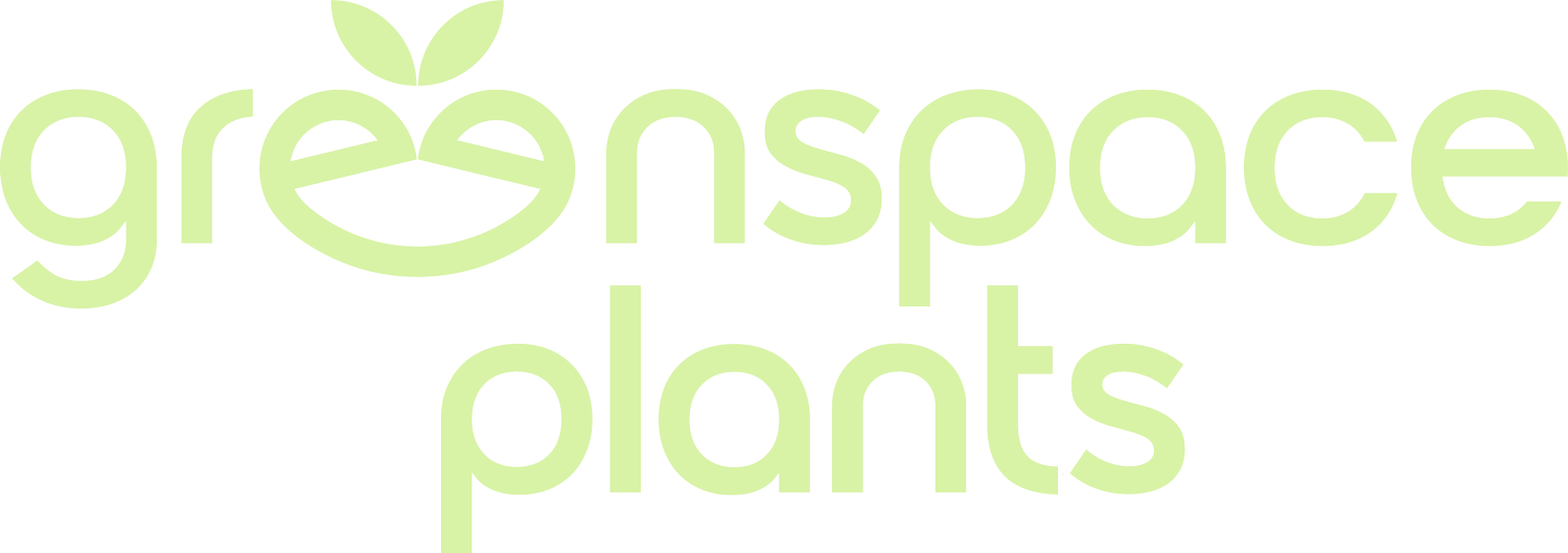 Greenspace Plants. Indoor Plants Services