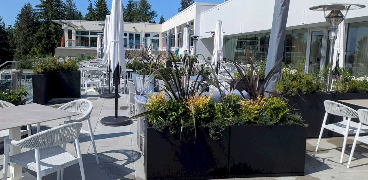 Outdoor Patio Planting Service