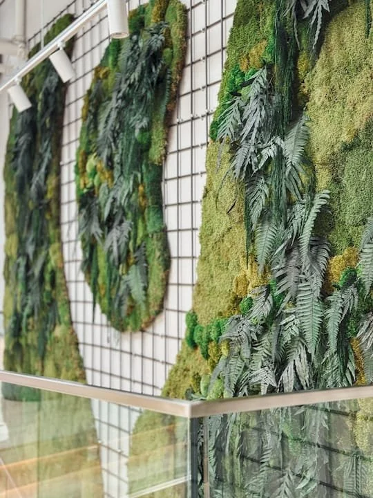 Indoor Plant Walls