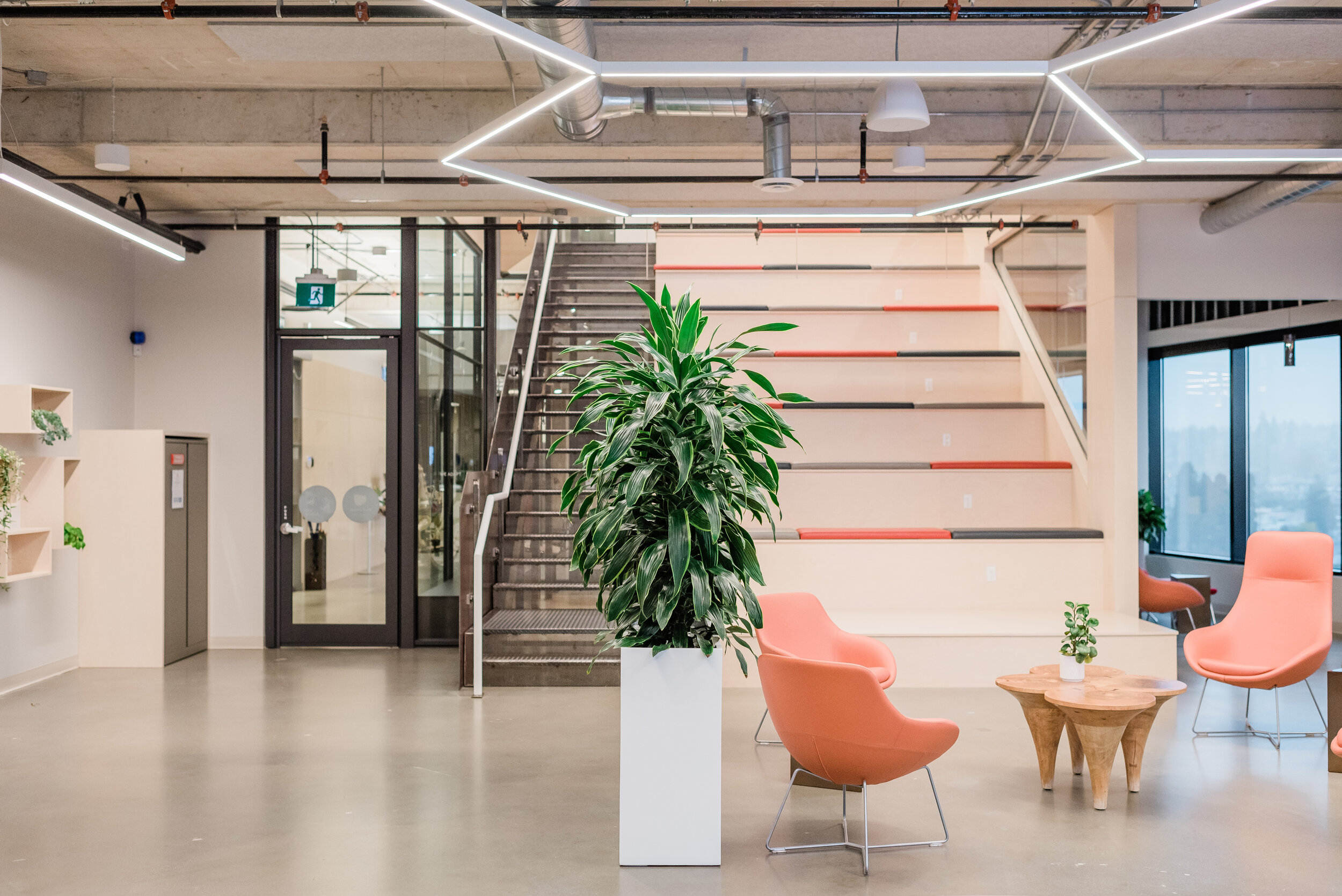 Office Plants & Indoor Plants Vancouver Canada