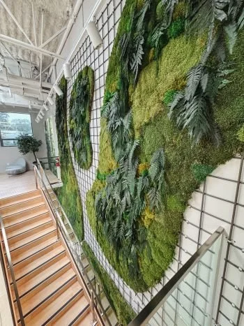 moss wall.jpg