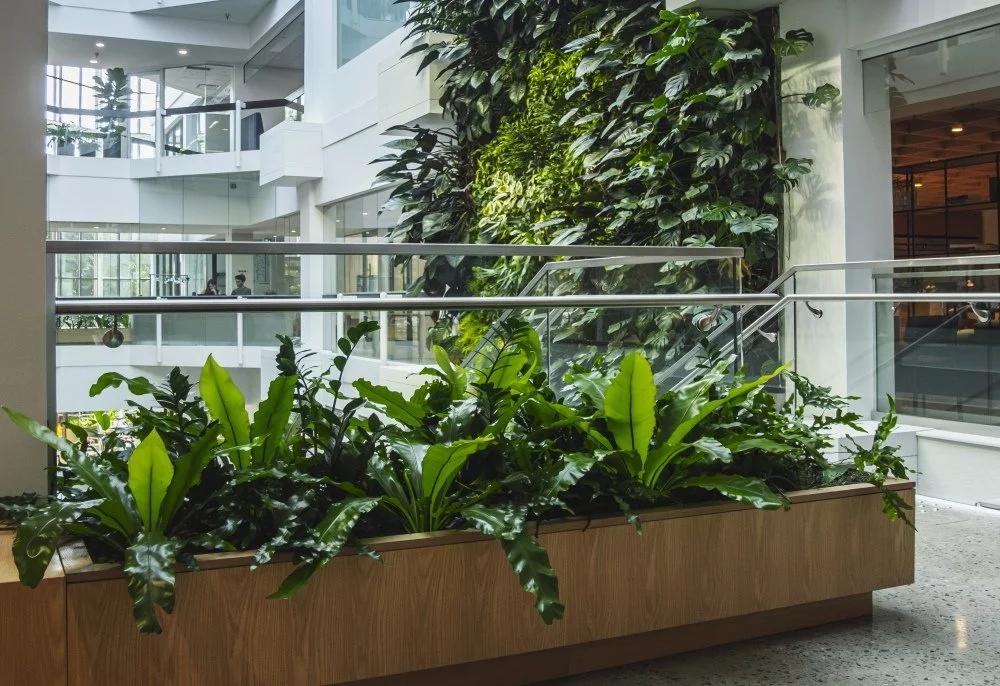 indoor plant installation vancouver and toronto.jpg