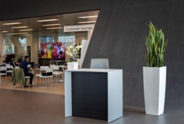 indoor plant client.jpg