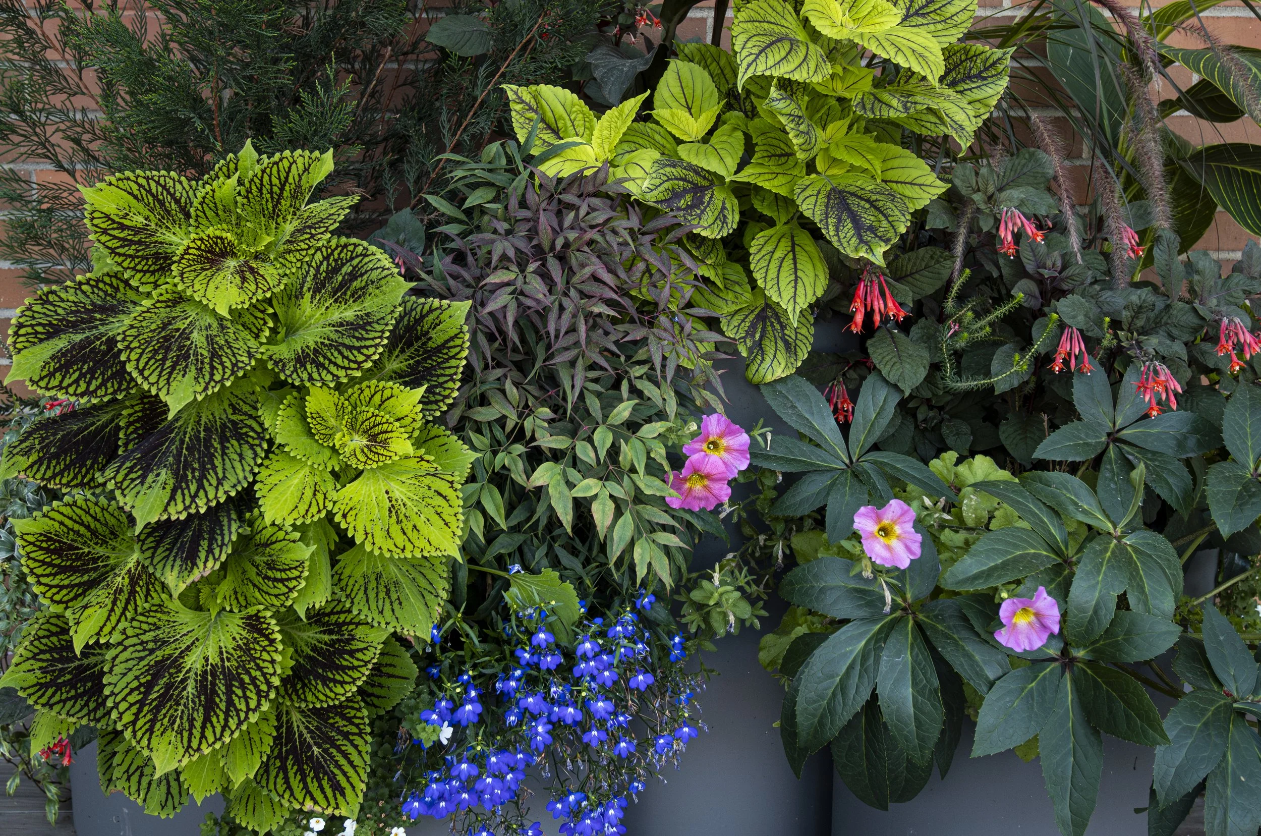 P1012455.jpg