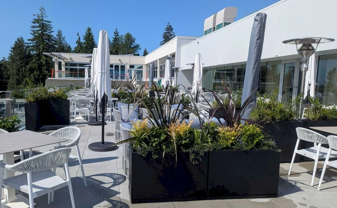 Outdoor Patio Planting Service