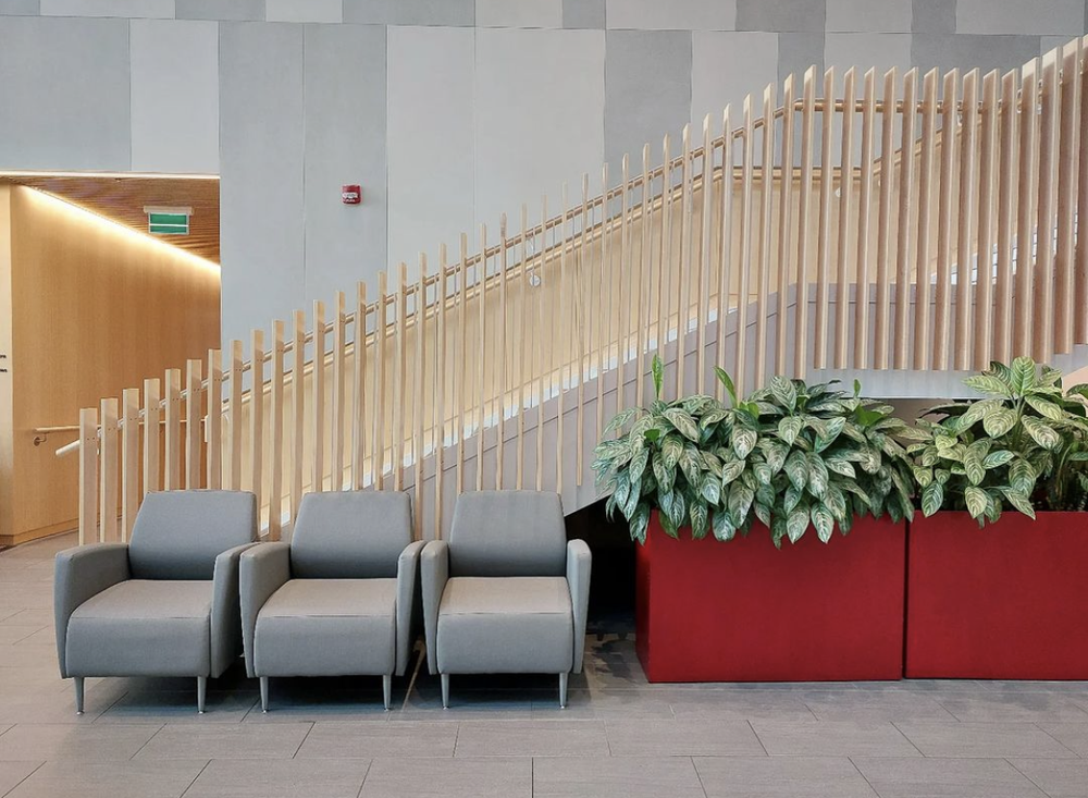 Office Plant Service & Indoor Plants Vancouver Canada