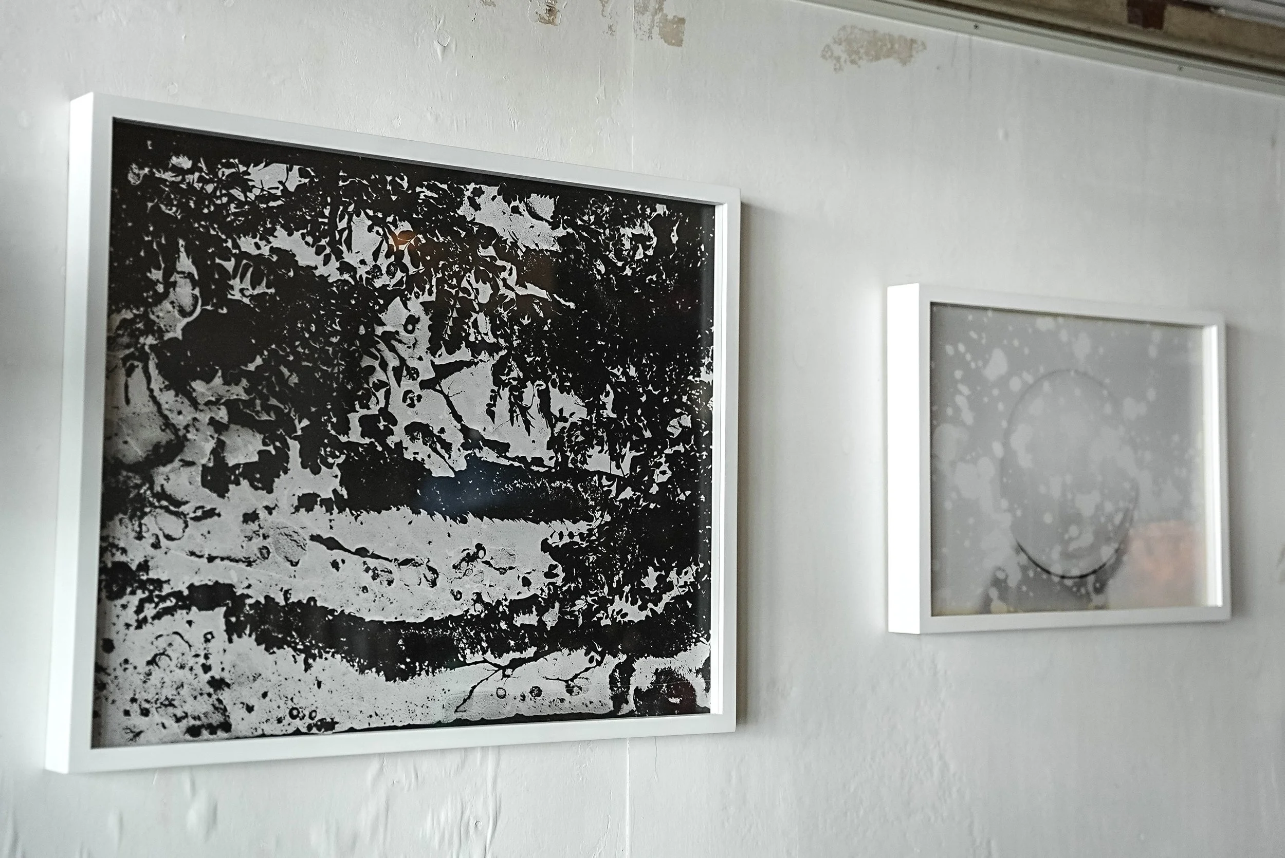 左から順に MANA HIRAI《Black Flower and White Shadow #003》2015 MANA HIRAI《Black Flower and White Shadow #007》2015