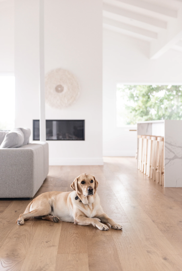 Screen Shot 2023-05-22 at 3.38.56 PM.png