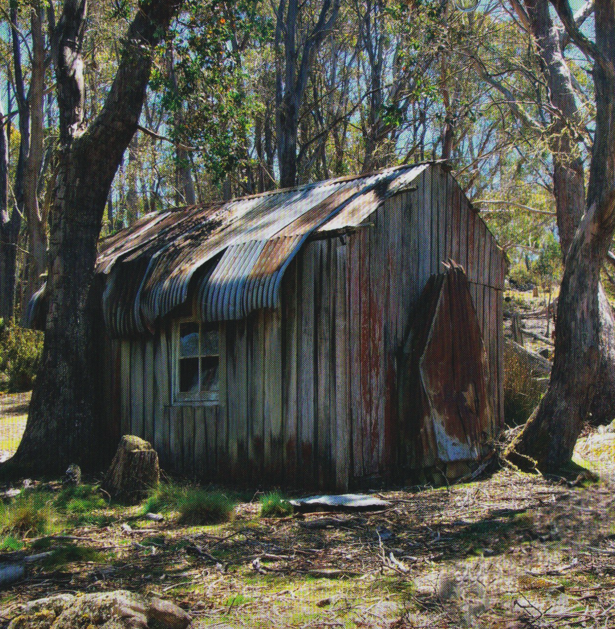 Linton Hut