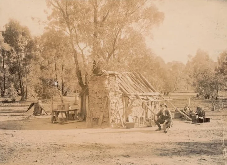 Mongrel Points Hut