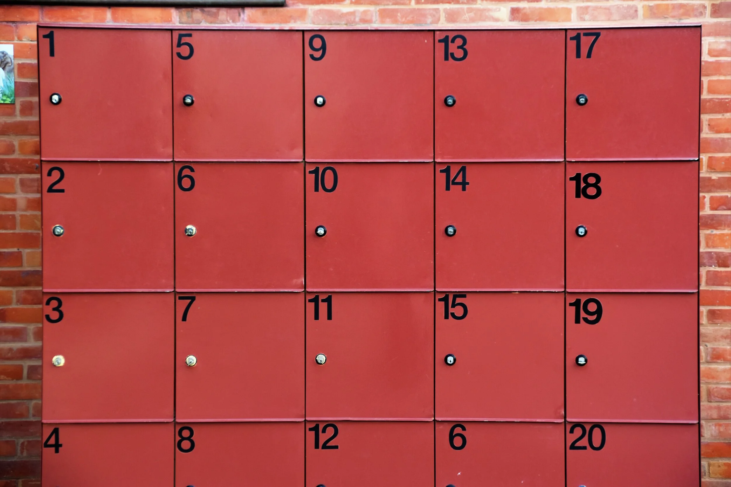 Year 4 OC (Opportunity Class Test) Sample Question