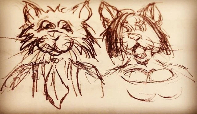 Day34_SEXYCATS
www.altosotheawakening.com
#photography#photooftheday photo#book#photographer #read#repost#food#instagood #city #followme#switzerland#love#art#book#read#newbook#artist#basel#baselcity#art#artistsoninstagram#artist#catsofinstagram