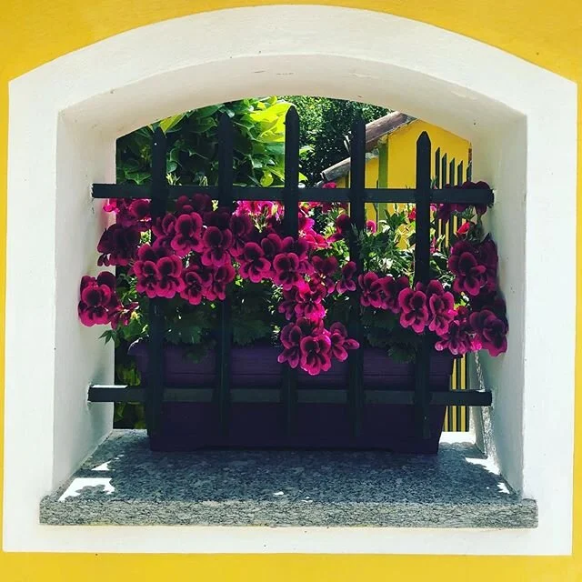 Day41_BRAVAMAMMA
www.altosotheawakening.com
#photography#photooftheday photo#book#photographer #read#repost##flowers #flowersofinstagram #flower #foodie#instagood #foodlover#city #sweet#coffee#followme#switzerland#italy#biella#nature #naturephotograp