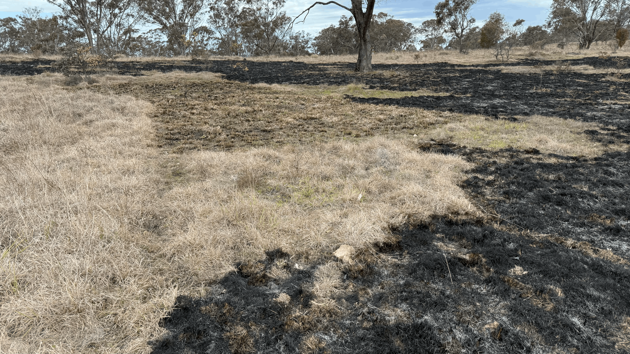 Cool burns with RFS