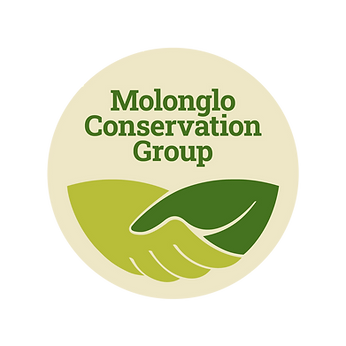 MCG Members Monday