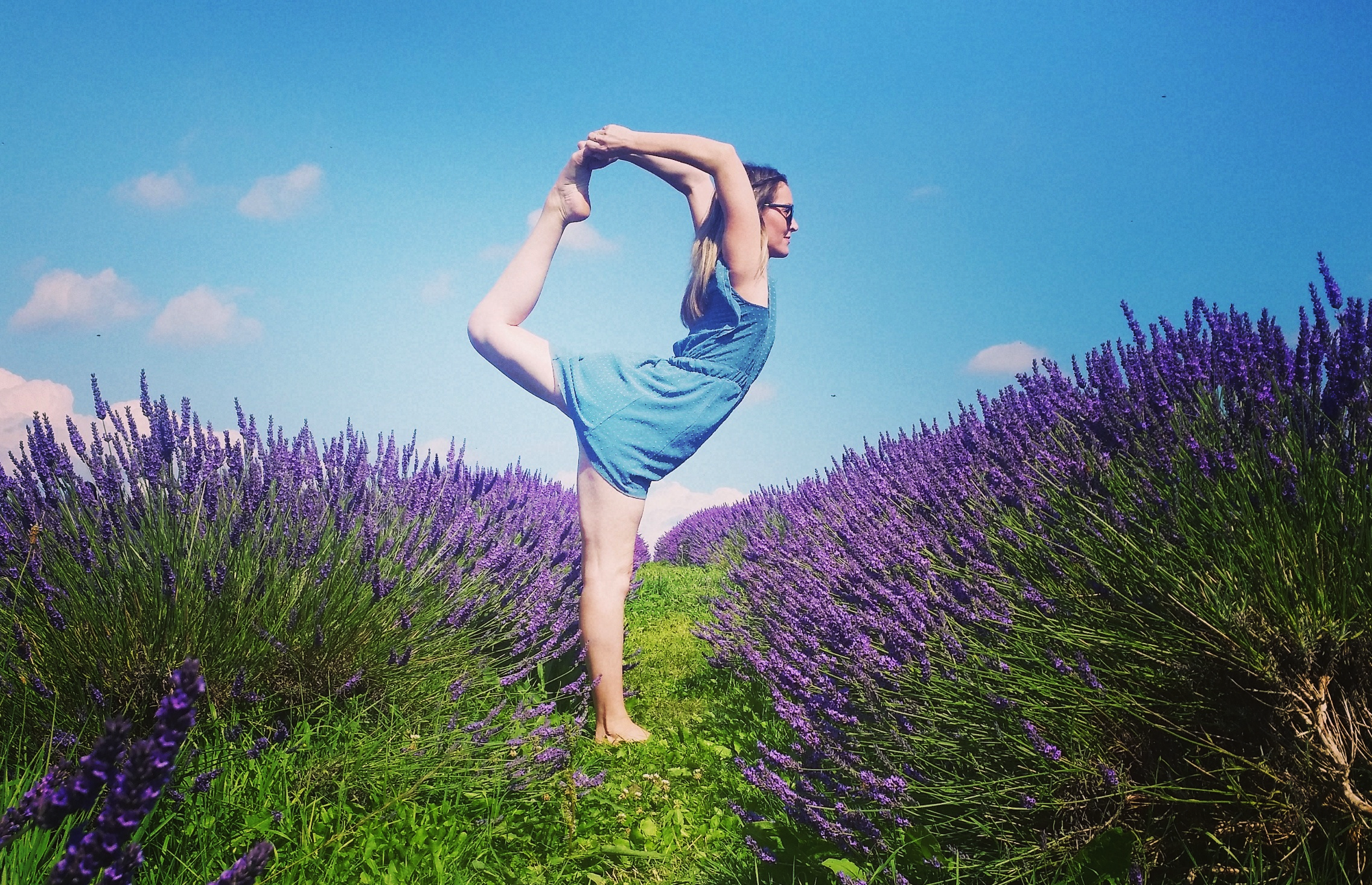Lavender Fields UK