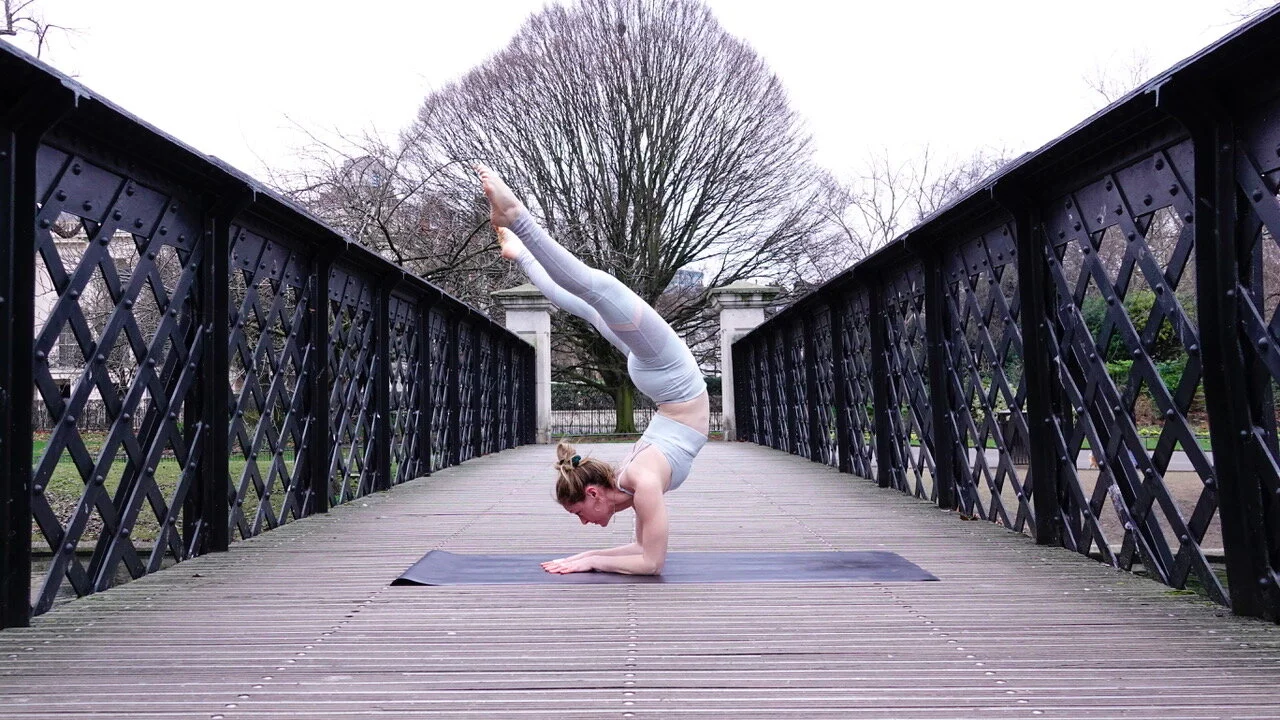 Ashley Ahrens Yoga Pincha Mayurasana forearm stand.jpeg