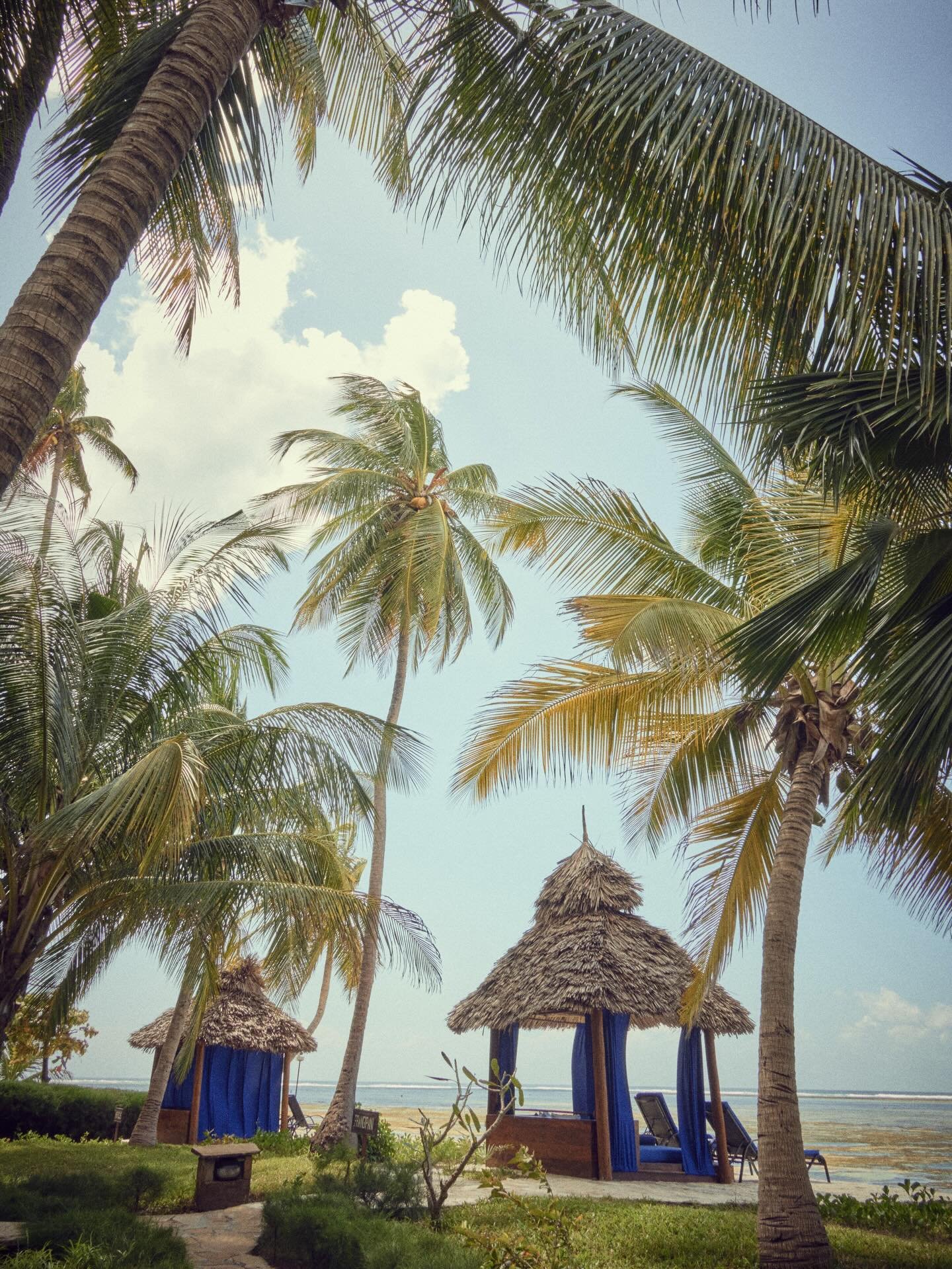 Seven villas. That&rsquo;s the entire story.

At The Palms, Zanzibar, privacy is not a feature, it&rsquo;s the foundation. Each villa sits quietly within its own space, with a private plunge pool, shaded terrace, and just enough distance to feel enti