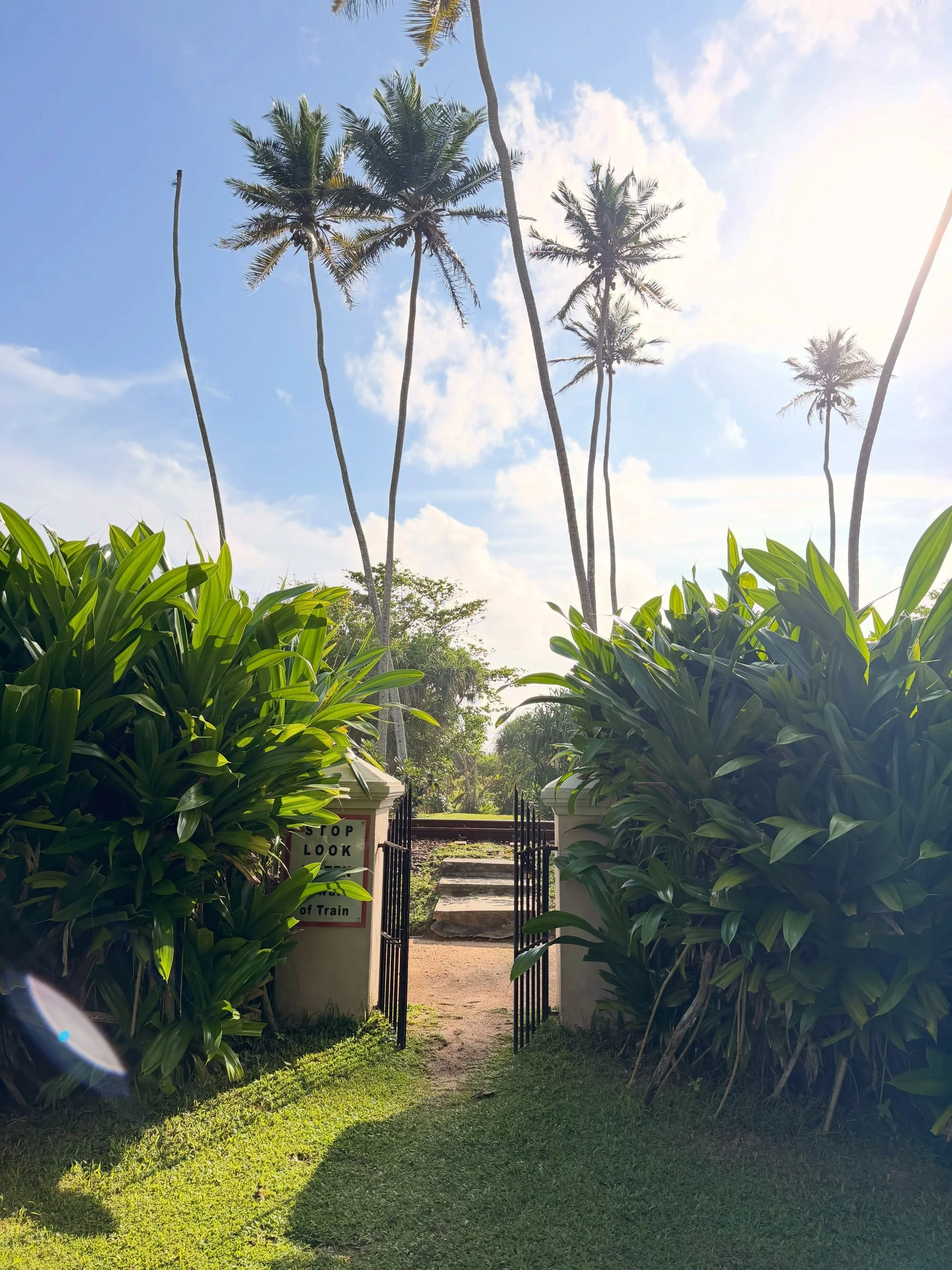 The Muse, Bentota. 🇱🇰
@themuse.bentota 

One of just two Nyne Hotels I hadn&rsquo;t yet experienced for myself, and I&rsquo;ve finally put that right.

The Muse is a very accomplished little boutique hotel for Bentota. Understated and elegant, with