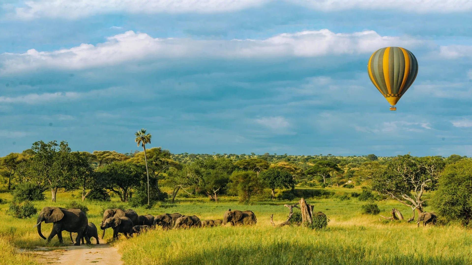 tarangire-004-min-min.jpg