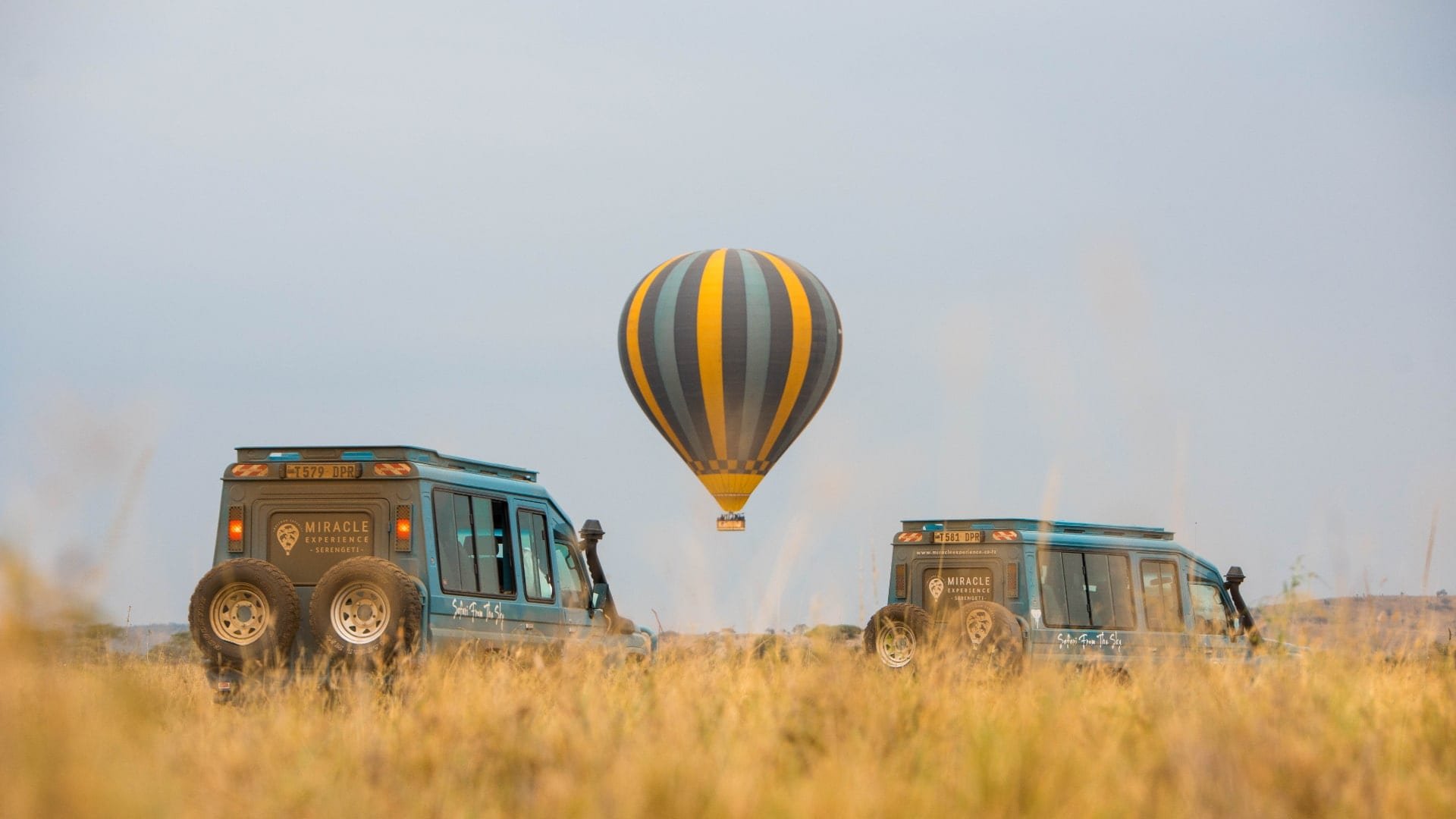 serengeti-023-min.jpg