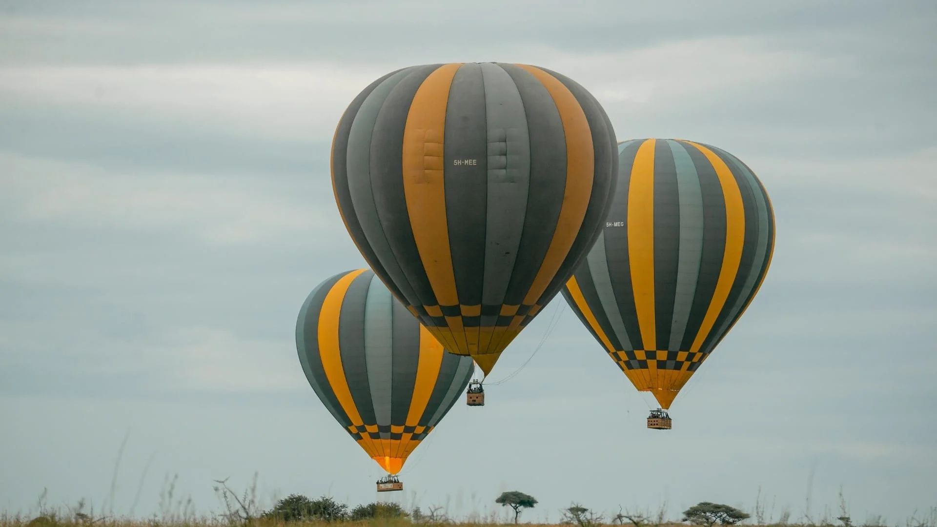 serengeti-017-min.jpg