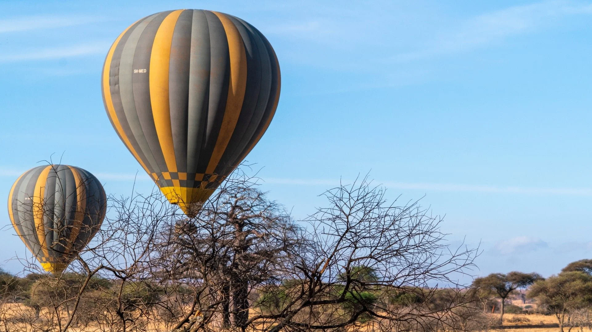 tarangire-010-min-min.jpg