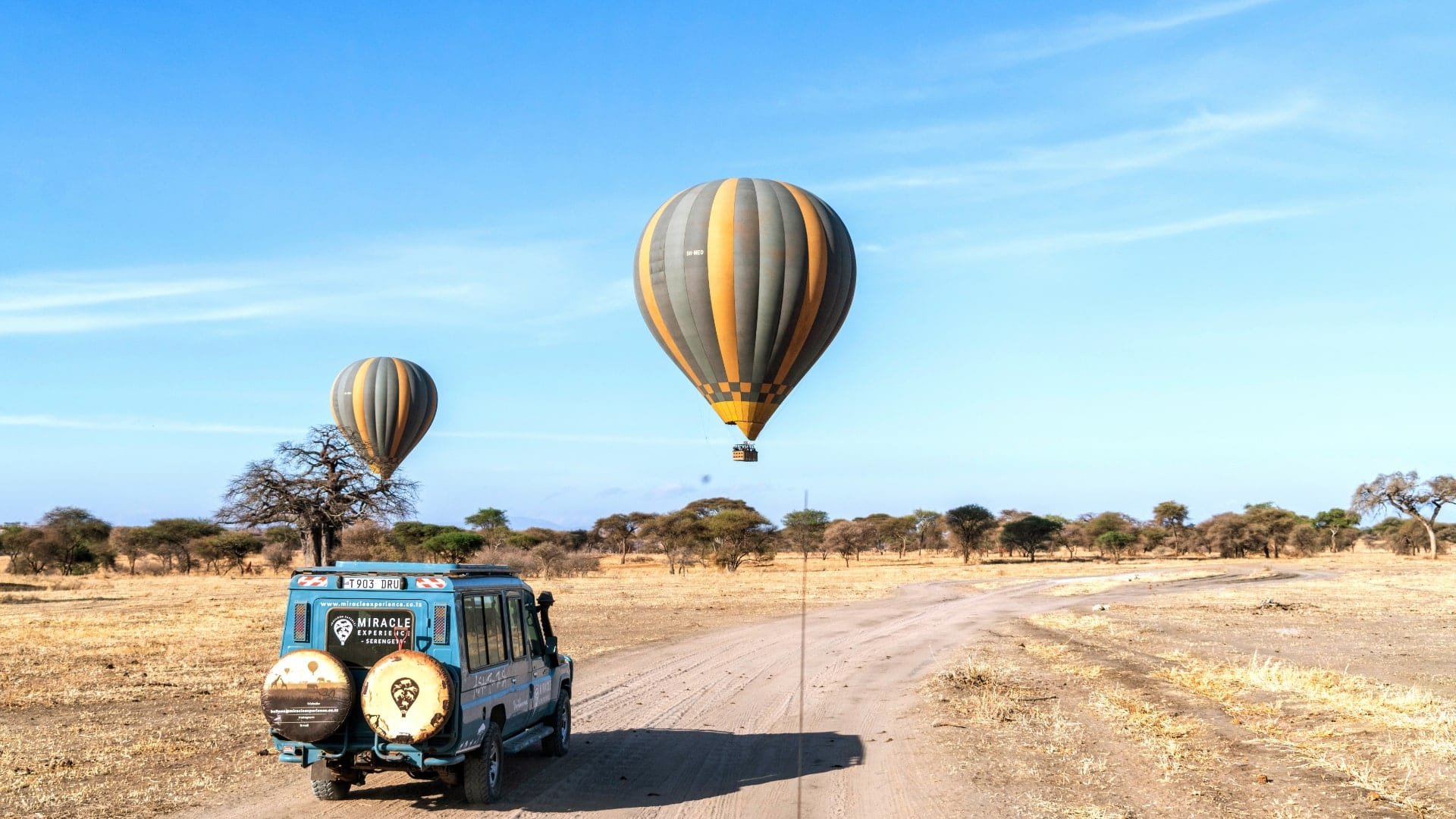 serengeti-048-min.jpg