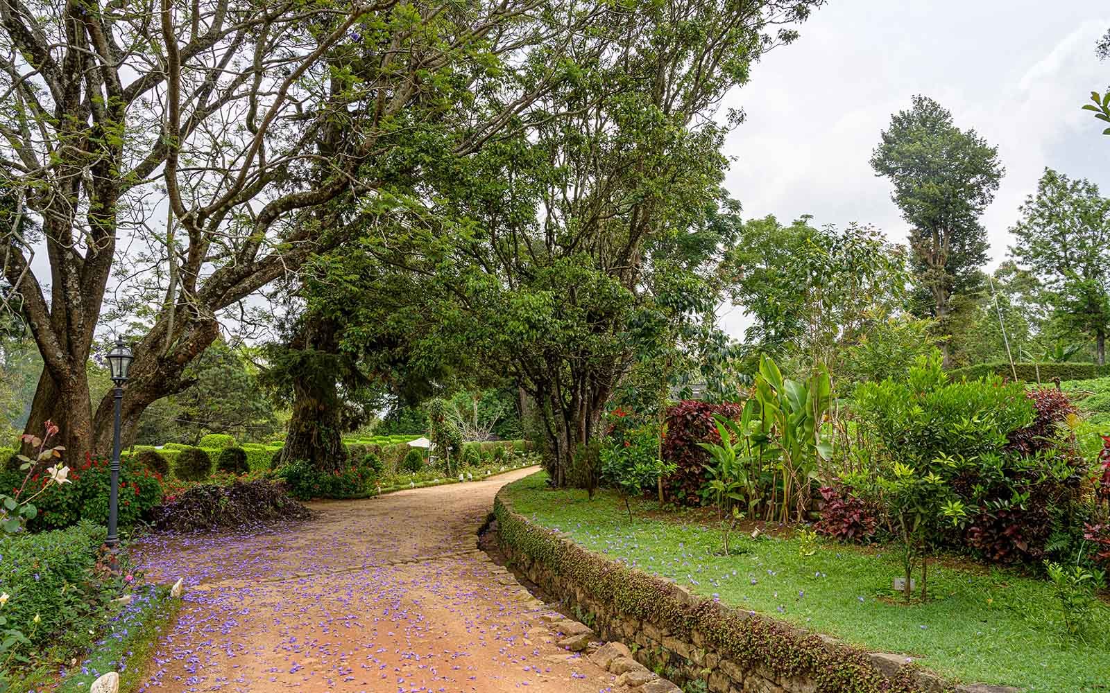 Stafford Bungalow Exterior 2.jpg