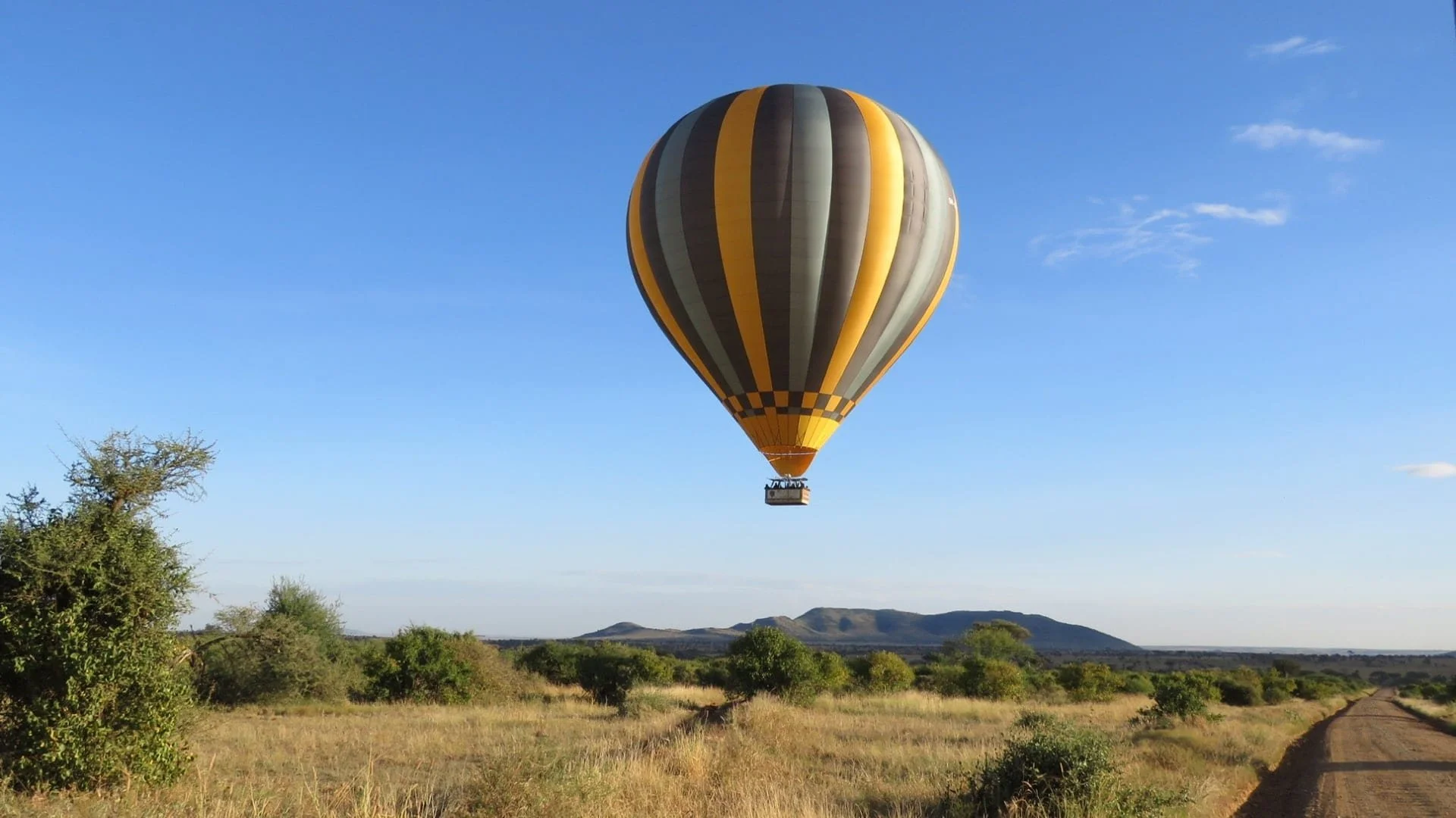serengeti-002-min.jpg