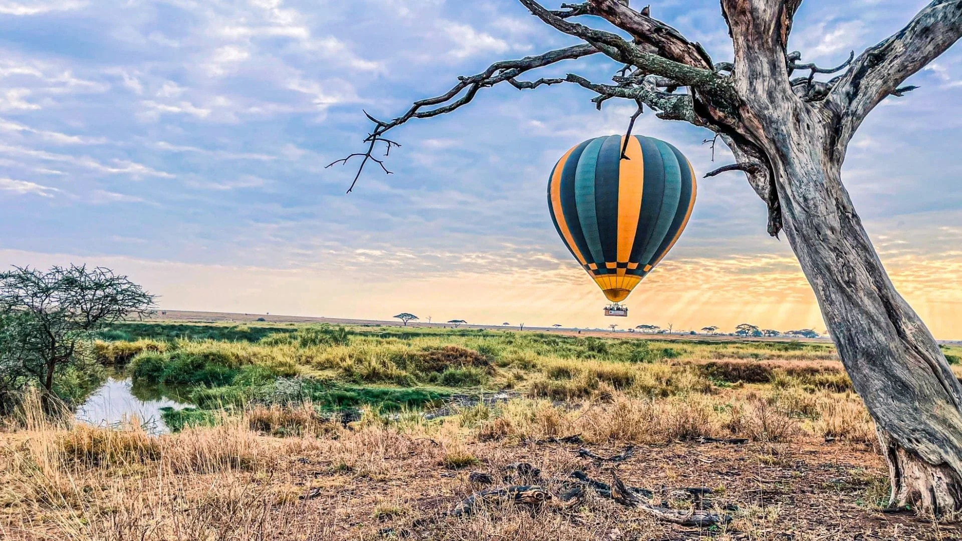 serengeti-008-min.jpg