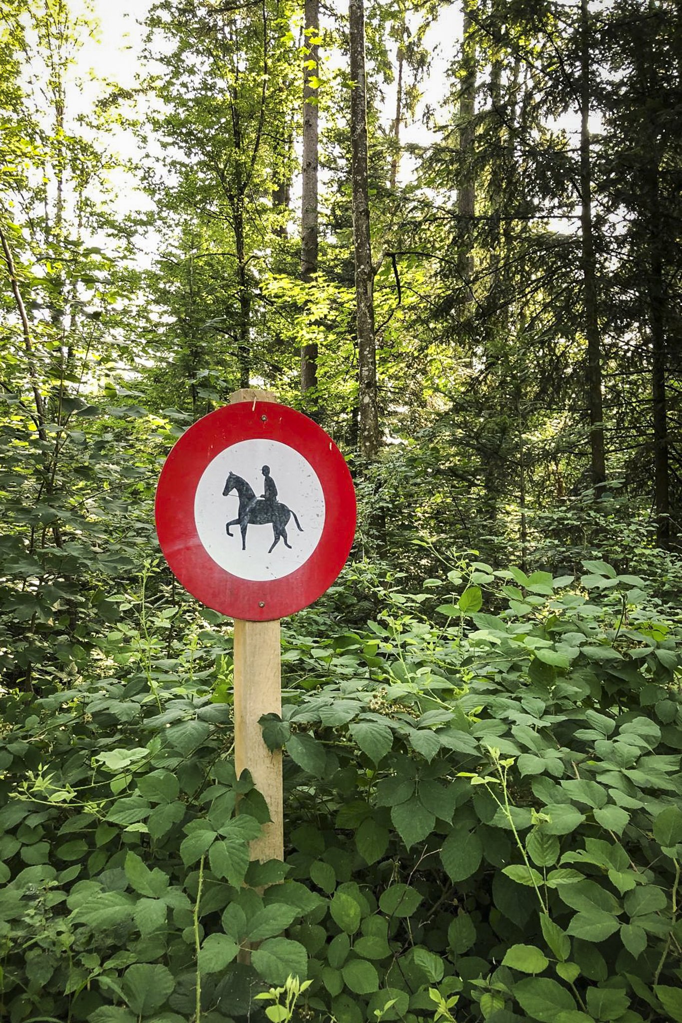 Steinhausen, Schweiz