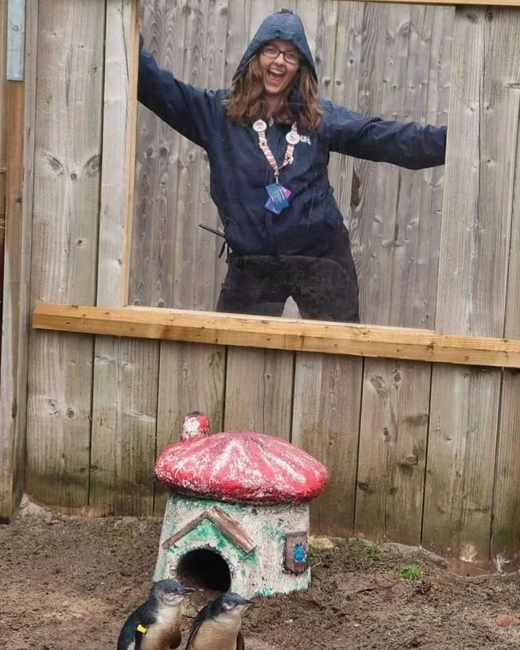 Helloooooo. It's been a while! I've just logged back into this account for the first time in a few months and it's lovely to see a flurry of new followers. Hi! Here's a little update for anyone who's curious / nosey / bored on a Thursday evening... 
