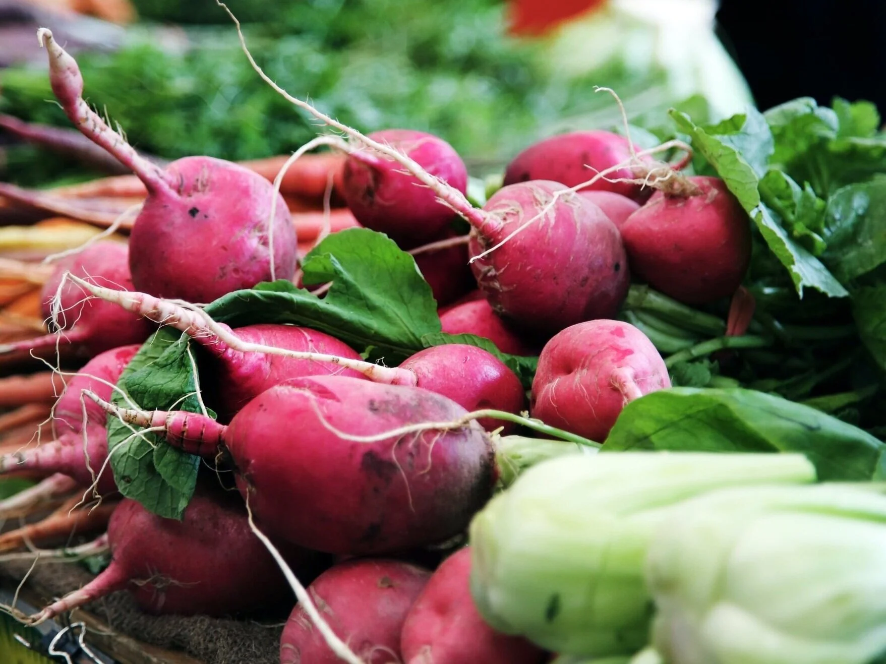 Food Technology Sustainability and the Future of Food