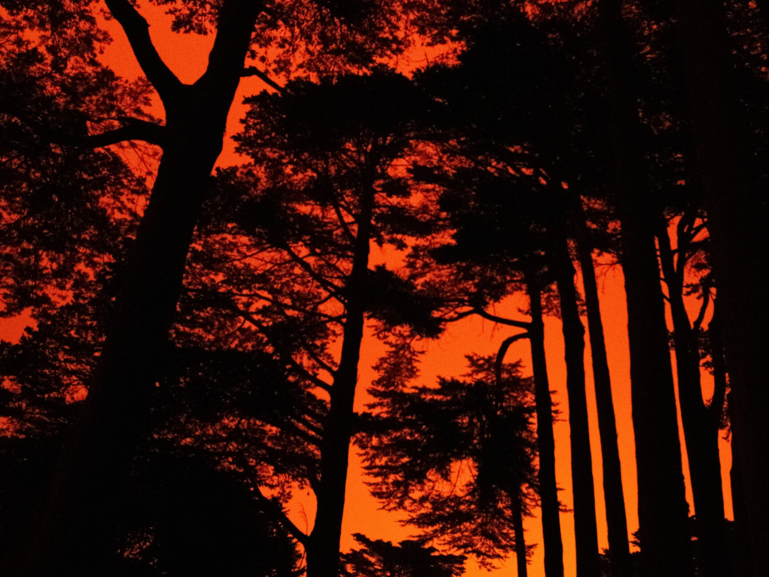 The Exciting New Wildfire Fighting Technology