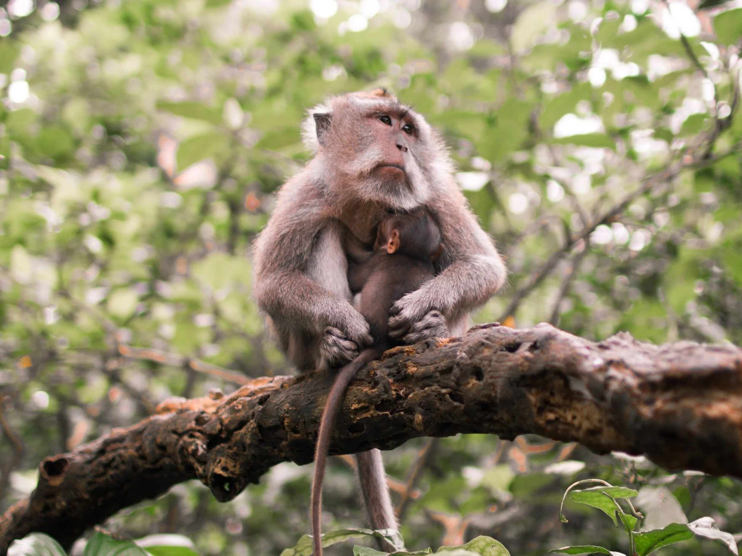 Beltim Is Partnering With 1% for the Planet to Fight the Good Fight