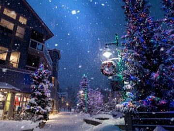 The Heartwarming Origin of Christmas Traditions