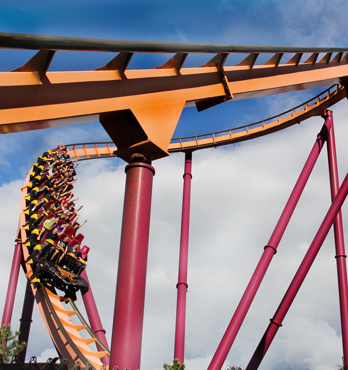 Roller Coasters with Eye-Catching Designs