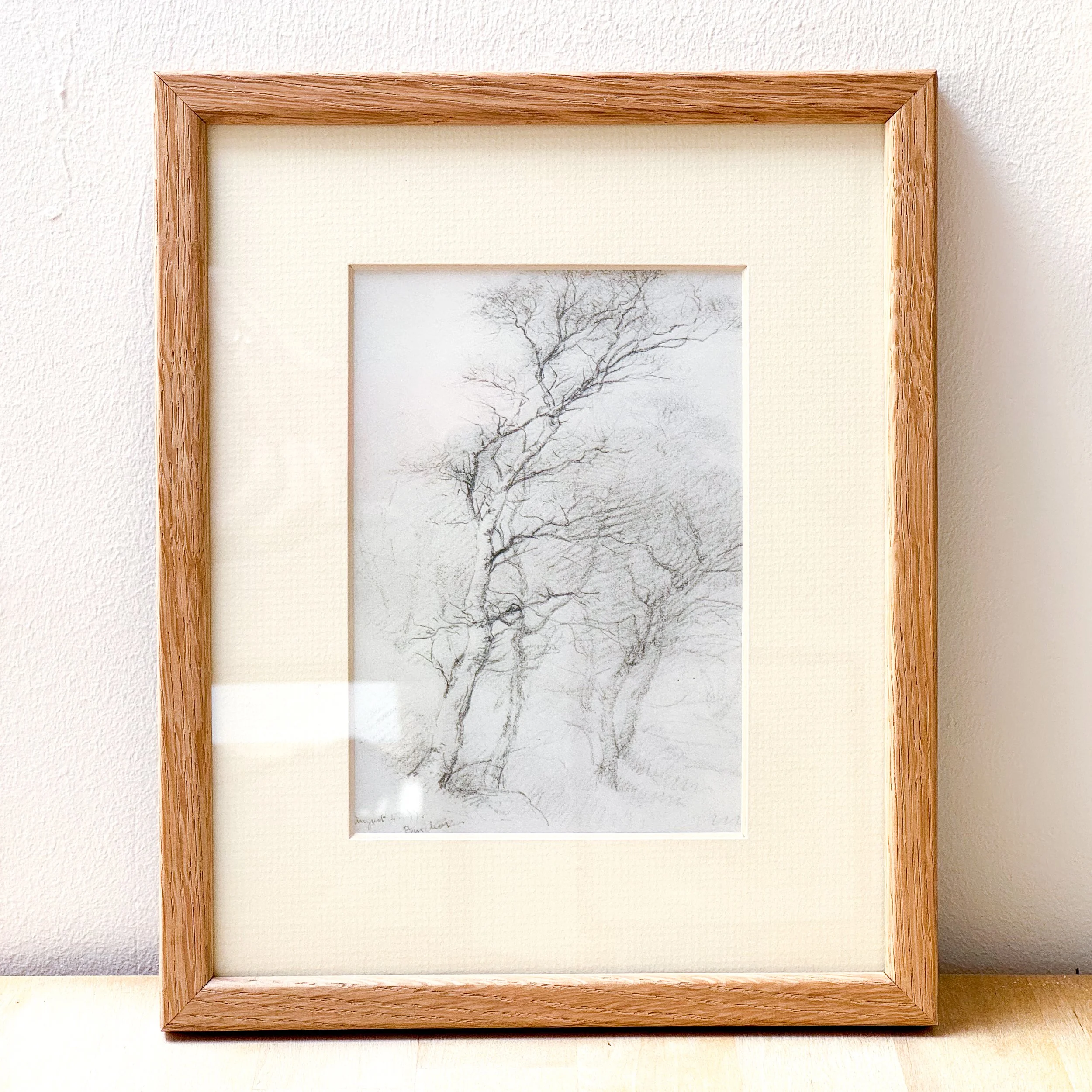 Birch