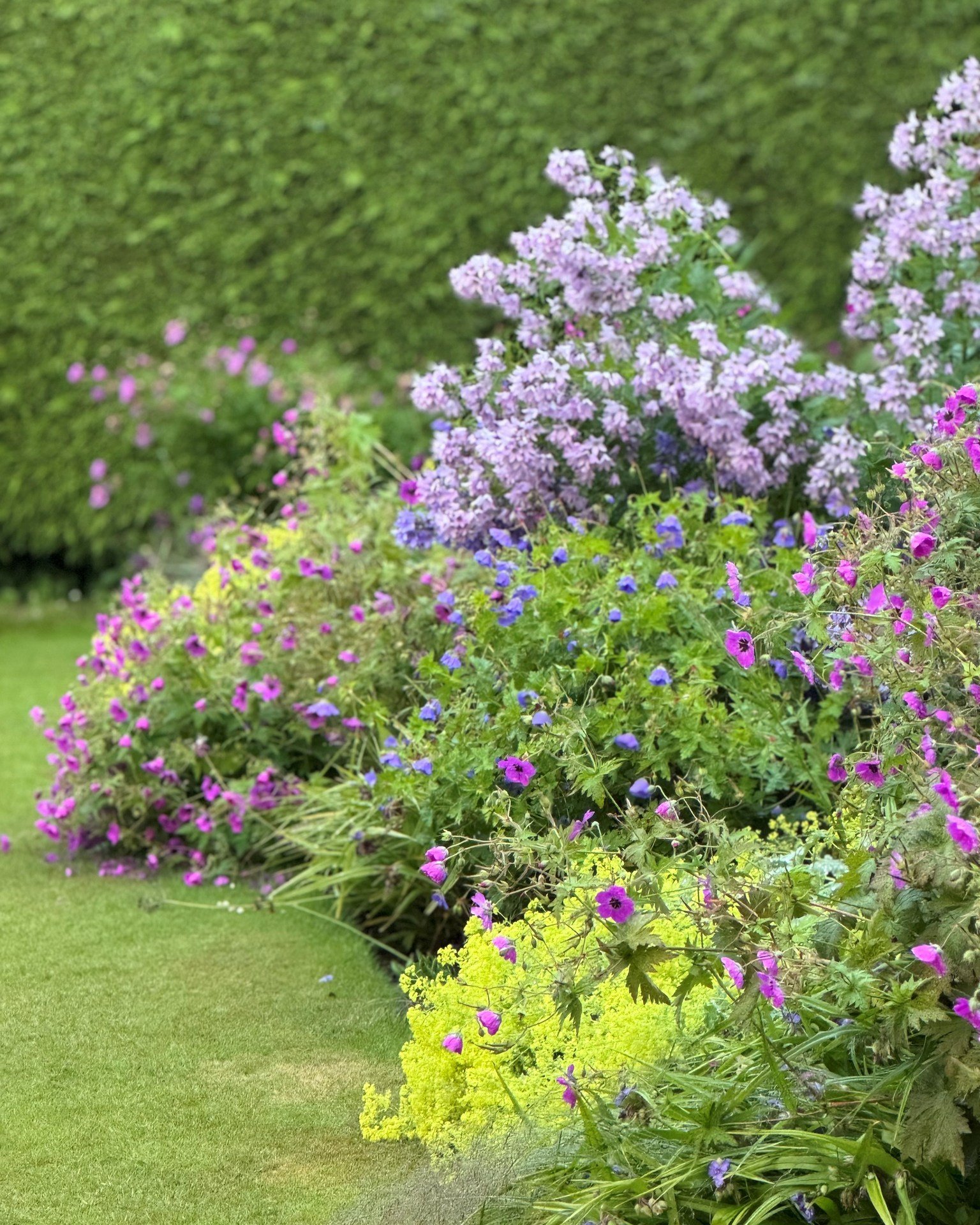 We are opening the Finzean House garden again this year on June 29th as part of Scotland&rsquo;s Garden Scheme. Our nominated charity is The Forget-Me-Not Club of Banchory. As well as enjoying wandering around the garden with its beautiful views sout