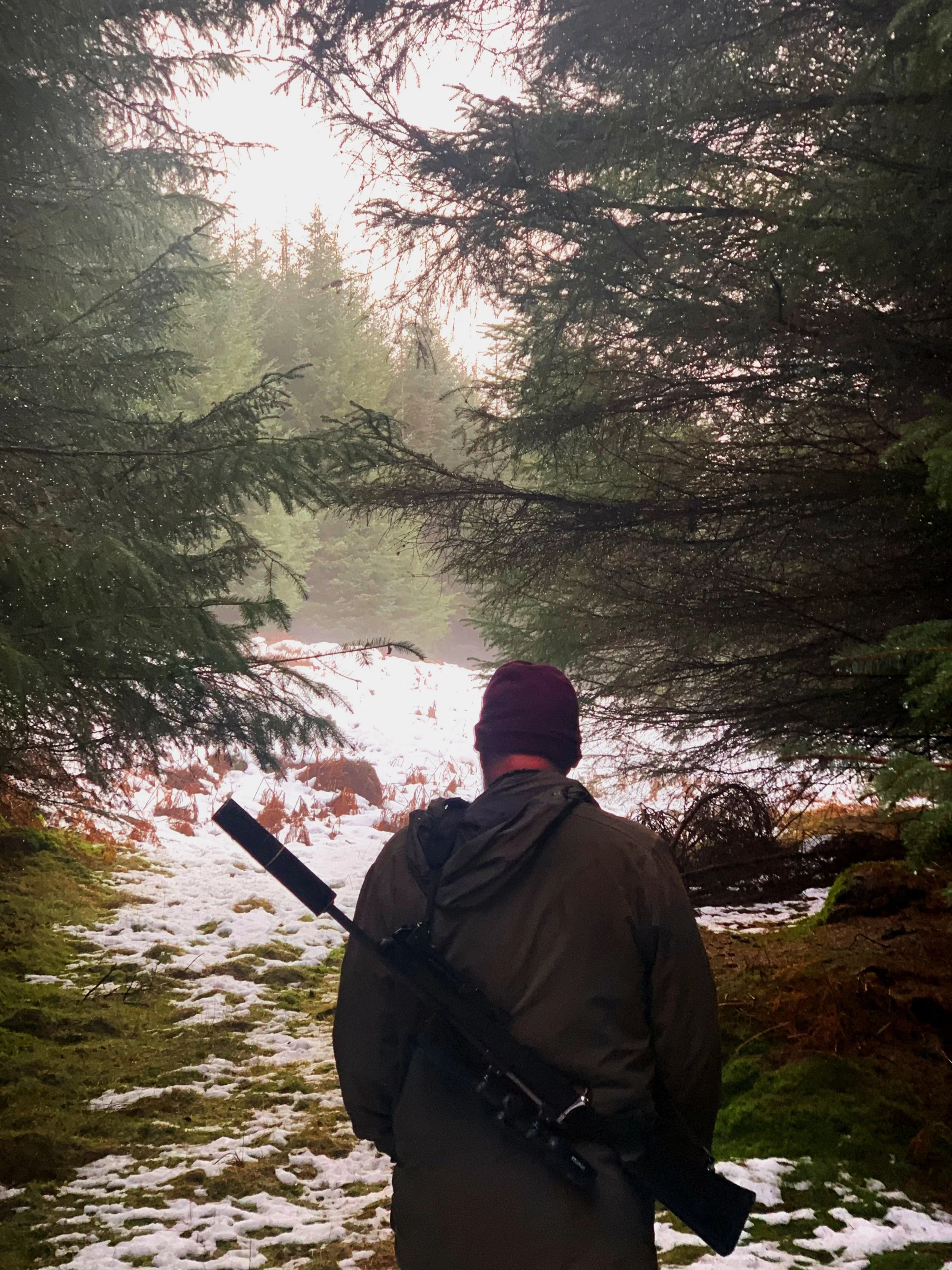 A man with a rifle walking through the woods, with snow on the ground.