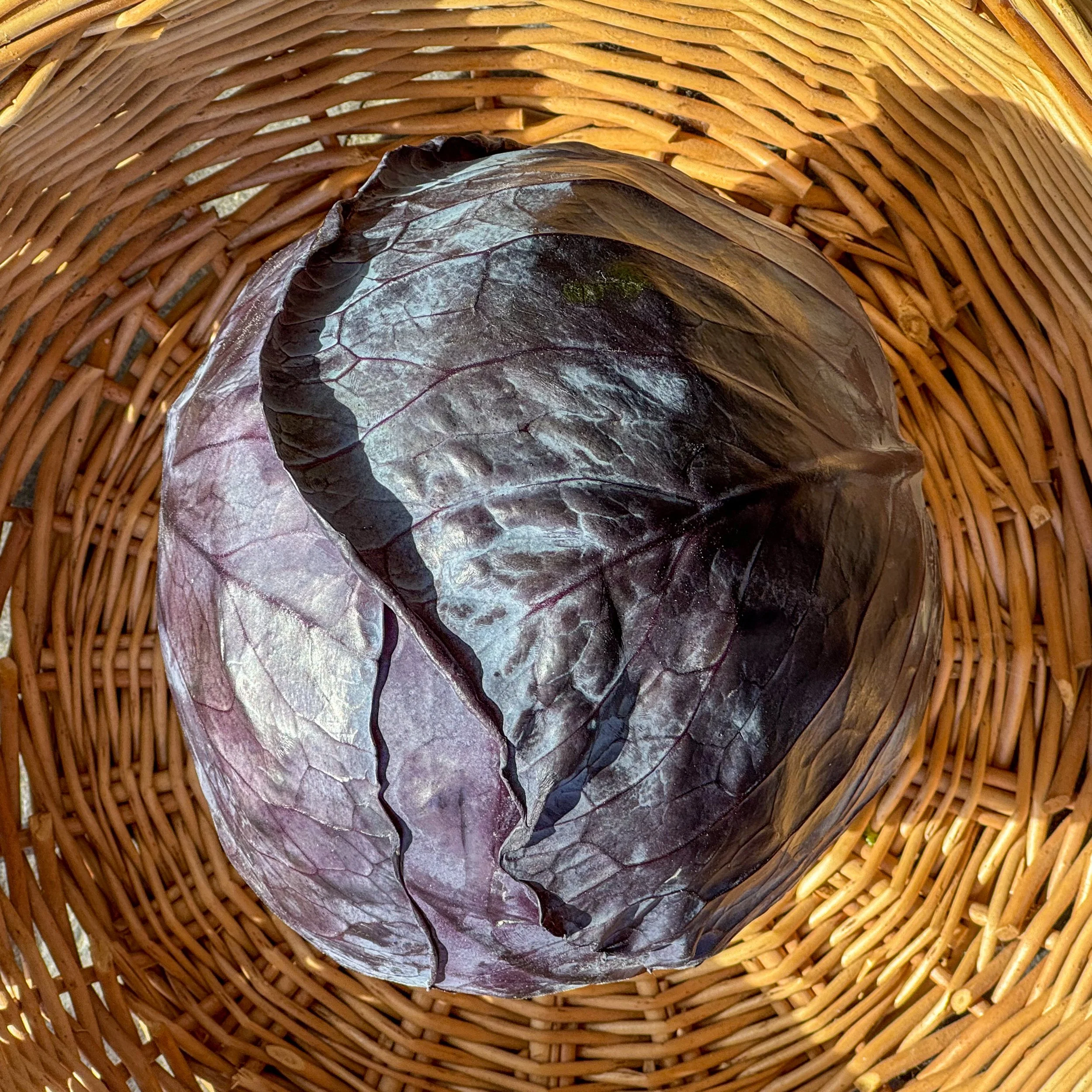 Homemade Paté — Finzean Estate