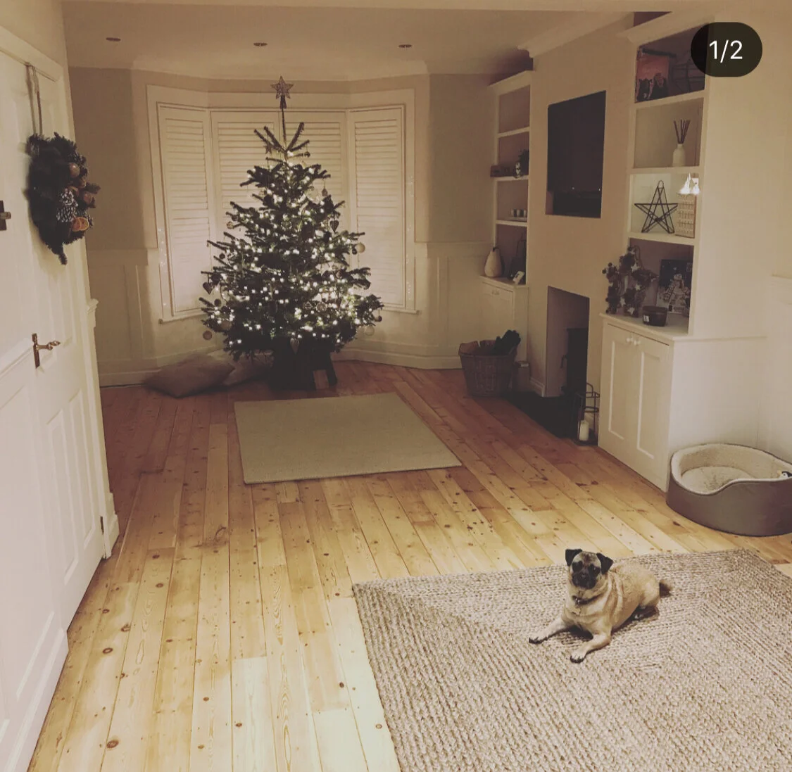 Living room decorated for Christmas with illuminated tree, a dog lying on a beige rug, a fireplace, shelves with decorations, and a window with closed shutters.