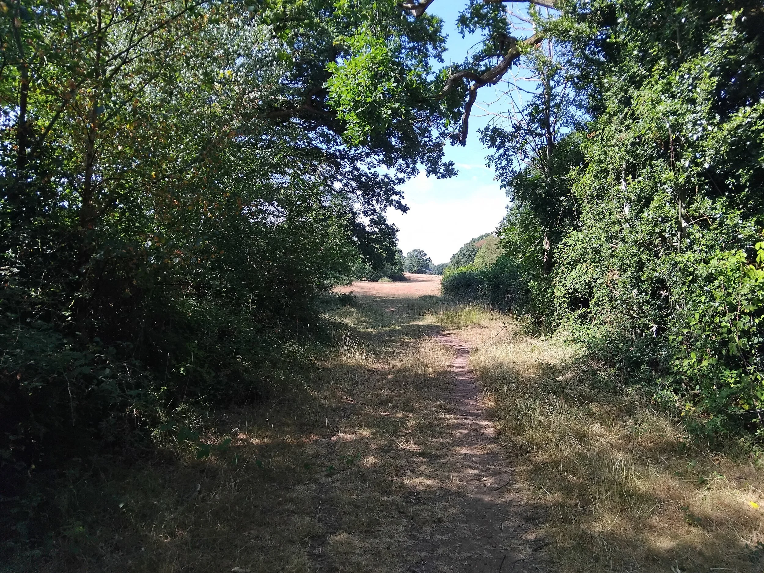 BorderLands Walking Series