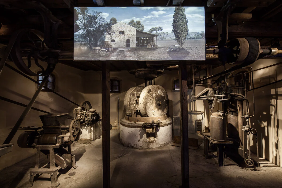 IMG_5729 as Smart Object-1.jpg