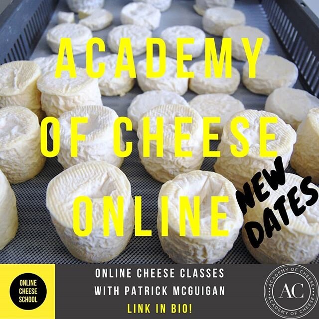 +🧀ONLINE CHEESE COURSES - NEW DATES🧀+ Jolly pleased to say that new dates for my online cheese courses are up for August, September and October. 
Come with me on a cheese odyssey from the comfort of your own home wherever you are in the world. My o