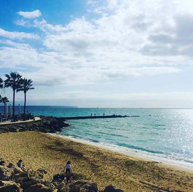❤️Palma#febrero#nice weather#😊