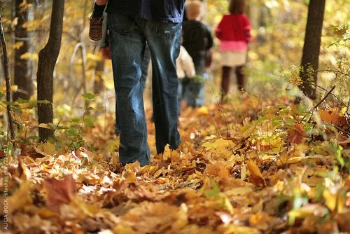 A Little Wink from the Universe