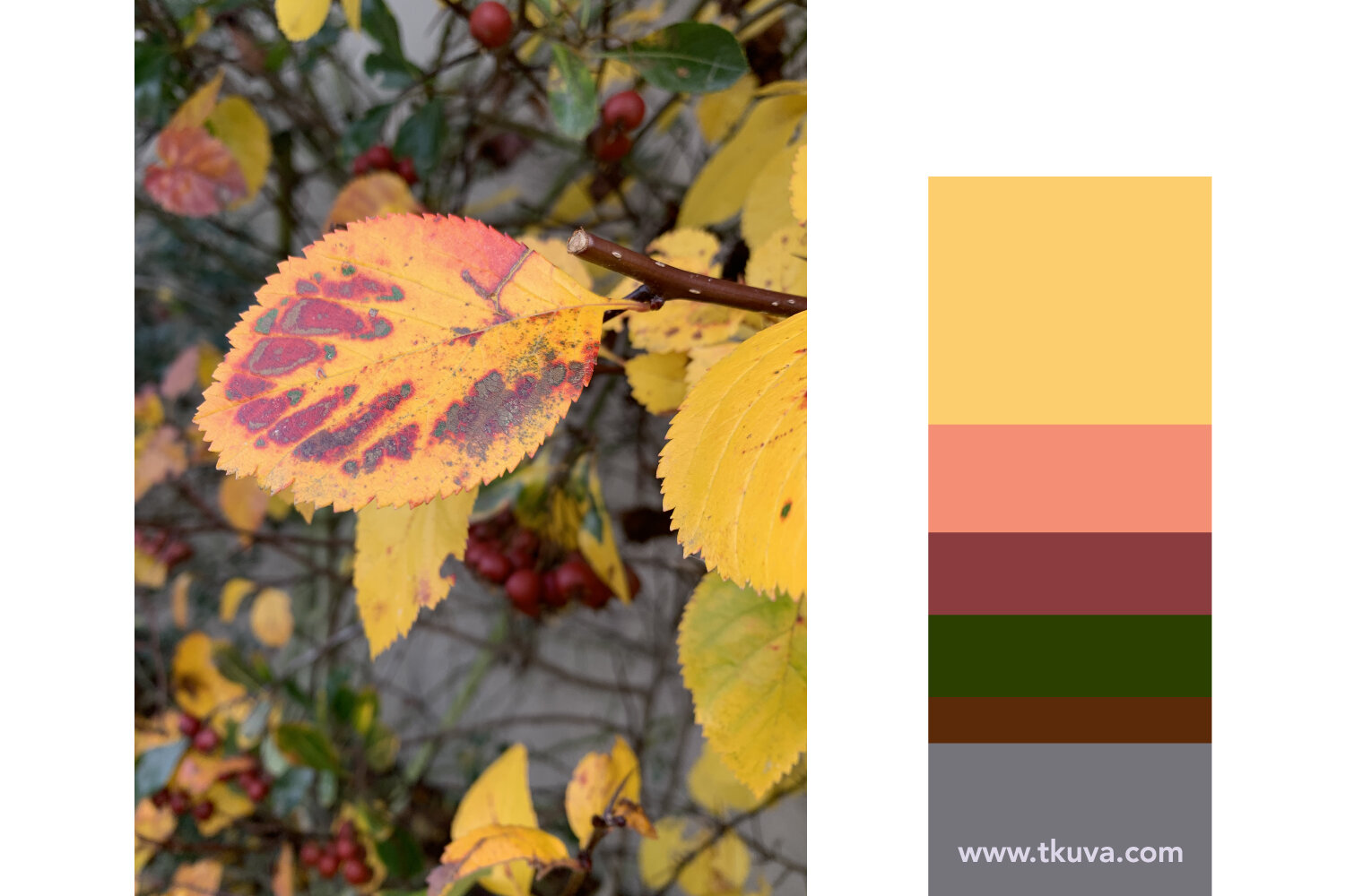 november-colour-schemes-1.jpg